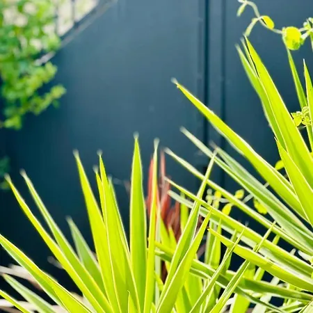 Casa Cycas, Meuble Tourisme 4 Etoiles